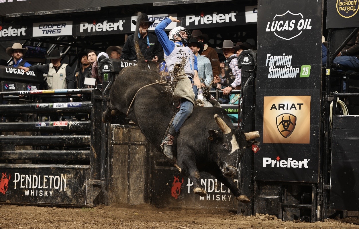 photo of rodeo bucking bull