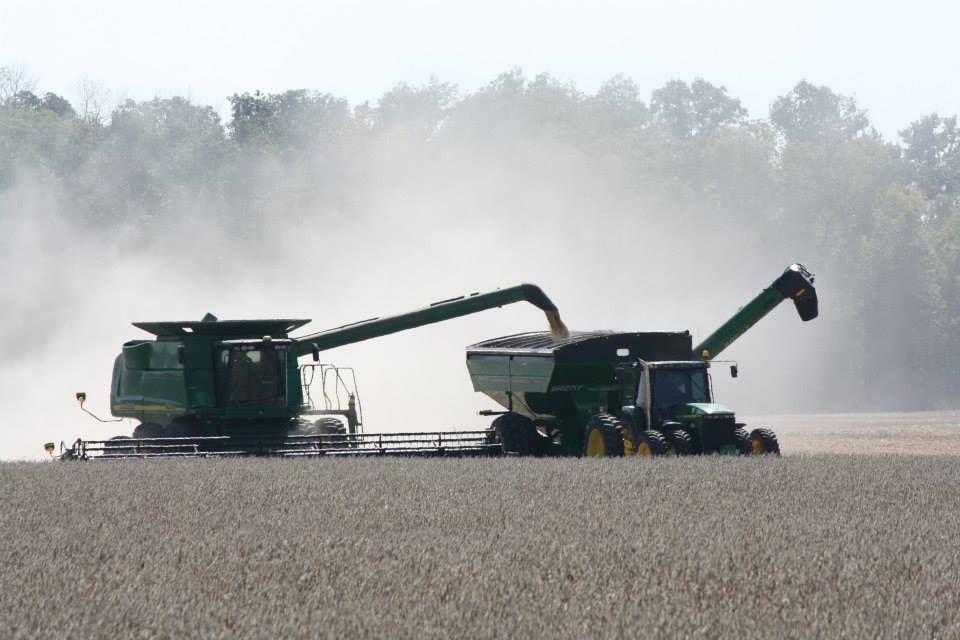 photo of combining wheat