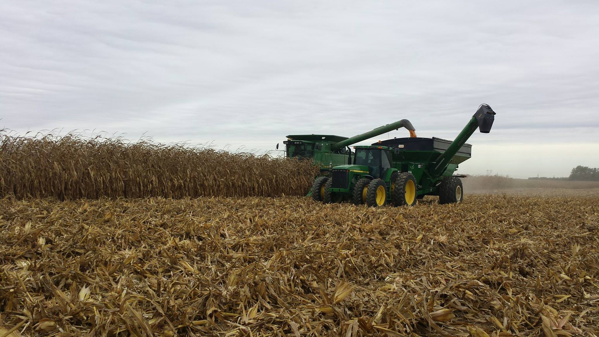 photo of combining corn